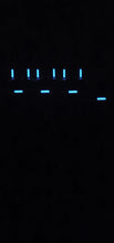 Load image into Gallery viewer, E.C.U Edward Customs Upgrades Bite Alarm Custom Kit