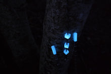 Load image into Gallery viewer, Lunastix - Session Tackle Distance Sticks